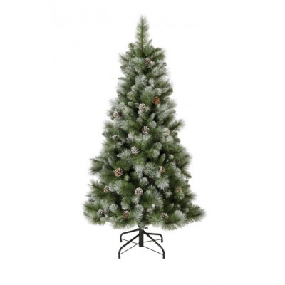 Norwich pine frosted 150cm 